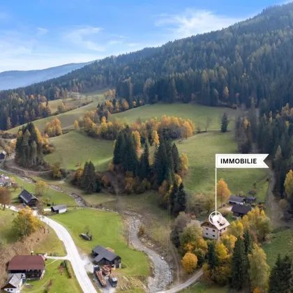 Mitten in der Natur – Wohnen im Herzen Kärntens - Großzügiges Wohnhaus mit drei Wohnungen und vielen Möglichkeiten– auch ideal zur Appartementmietung geeignet. - Bild 3