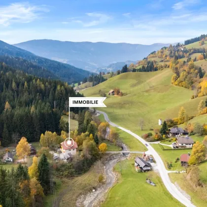 Mitten in der Natur – Wohnen im Herzen Kärntens - Großzügiges Wohnhaus mit drei Wohnungen und vielen Möglichkeiten– auch ideal zur Appartementmietung geeignet. - Bild 2