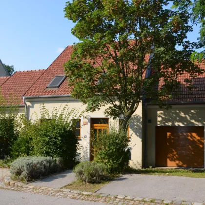 Haus in absoluter Ruhelage - Bild 2