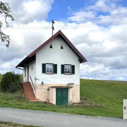 ** FÜR GENIESSER **  Schickes Kellerstöckl mit feiner Ausstattung am Gaaser Weinberg !! - Bild 2