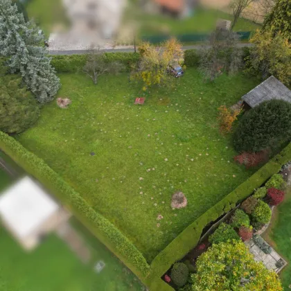 Baugrundstück in Tobelbad: Ihr Traumhaus auf 1310 m² - Bild 2