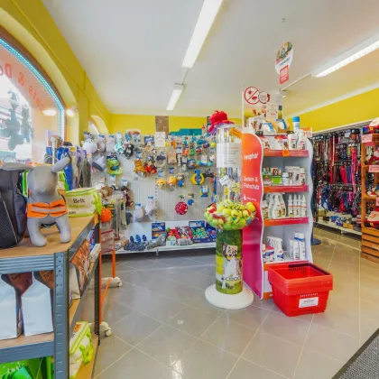 *Erfolgreich durchstarten in Böheimkirchen* Gepflegtes Geschäftslokal mit Potenzial - Bild 2