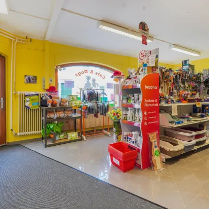 *Erfolgreich durchstarten in Böheimkirchen* Gepflegtes Geschäftslokal mit Potenzial - Bild 3