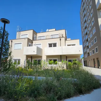 PROVISIONSFREI! LEO AM TEICH - URLAUBSFEELING IN WIEN! - Bild 3