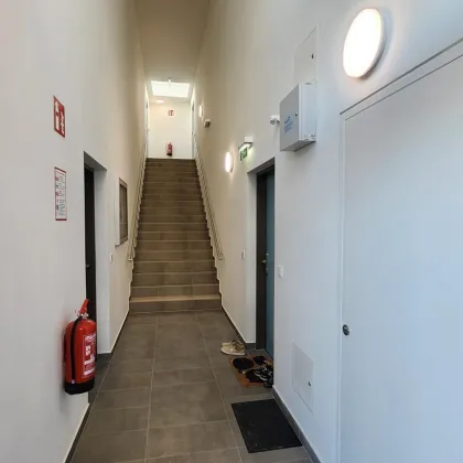 PROVISIONSFREI! AUF INS NEUE ZUHAUSE - AM BESTEN IN GRETL'S GARTEN! - Bild 2