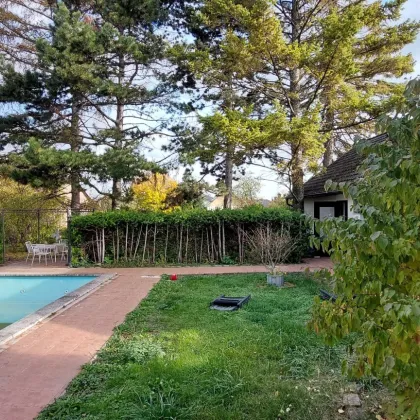 Singlewohnung Ruhelage Pool optional - Bild 2