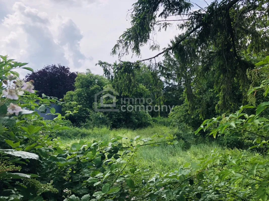 Baugrund 1.477 m²,  Nähe Baden, Schwechat, Ebreichsdorf - Bild 1