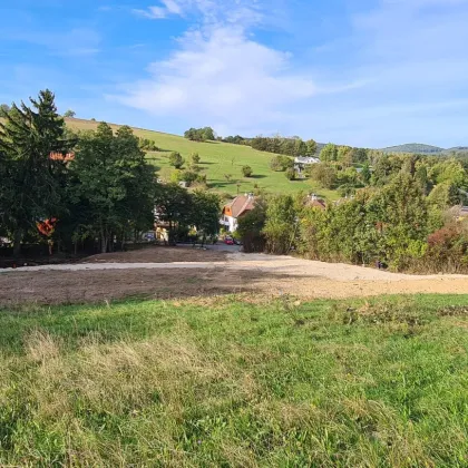 ***OPTIMALE GELEGENHEIT! GRUNDSTÜCK MIT 14.641m², DAVON 2.359m² BAULAND IM IRENENTAL!*** - Bild 2