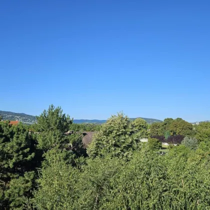 *NEUER PREIS* - TRAUMHAFTE DACHGESCHOSSWOHNUNG MIT LOGGIA IN LANGENZERSDORF - Bild 3