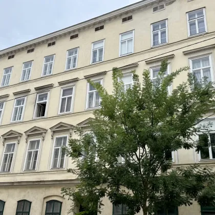 Große Souterrainfläche I Nähe Haus des Meeres I Lager I Atelier - Bild 2