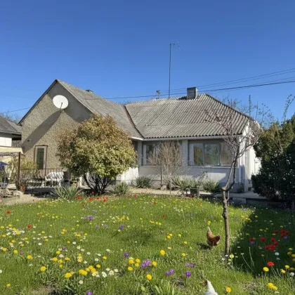 Charmantes, gepflegtes Wohnhaus mit sonnigem Garten in Andau - Bild 2