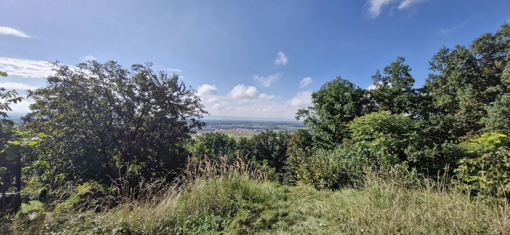 Wohnen mit Weitblick – Sechterberg 85, Feldkirchen an der Donau - Bild 1