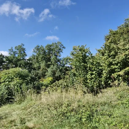Wohnen mit Weitblick – Sechterberg 85, Feldkirchen an der Donau - Bild 3