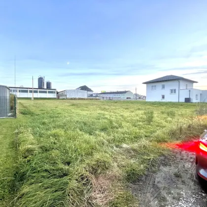 Traumgrundstück in Ansfelden – Wohnen im Grünen, nur wenige Minuten von Linz entfernt - Bild 2