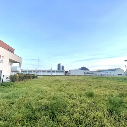 Traumgrundstück in Ansfelden – Wohnen im Grünen, nur wenige Minuten von Linz entfernt - Bild 3