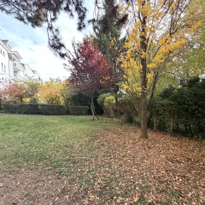 Anspruchsvoll wohnen, in bester Ruhelage, südseitiger Balkon, Gartenmitbenutzung - Bild 3