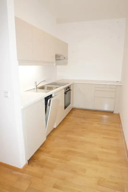1090, U4 Rossauer Lände/Porzellangasse 25, neu sanierte 2 Zimmerwohnung im DG mit Terrasse  ab 1.12.2025 zu vermieten - Bild 1