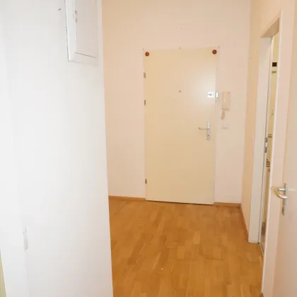 1090, U4 Rossauer Lände/Porzellangasse 25, neu sanierte 2 Zimmerwohnung im DG mit Terrasse  ab 1.12.2025 zu vermieten - Bild 2