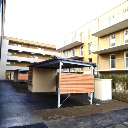 Entzückende Gartenwohnung in Südausrichtung - moderne Bauweise und sehr gute Raumaufteilung - in 8401 Kalsdorf! - Bild 2