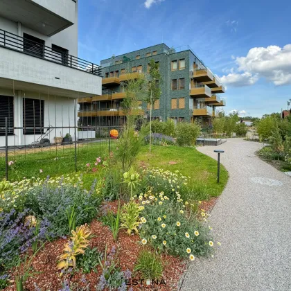 Perfekt geschnittene Familienwohnung mit Balkon - Nähe Erholungsgebiet Wienerberg - Bild 3