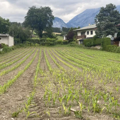 Partner für Doppelhaushälfte in Natters gesucht- Provisionsfrei! - Bild 3