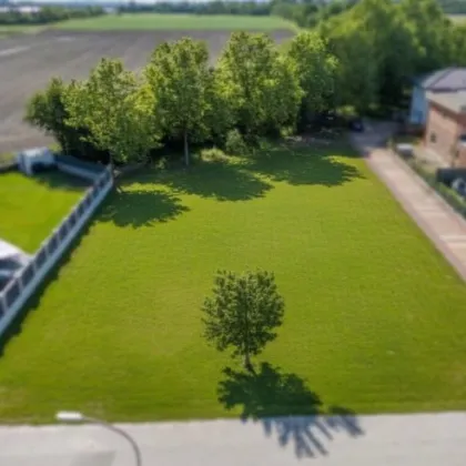 Traumhaus nach Maß - individuell planbar, schlüsselfertig und mit Grundstück! - Bild 2