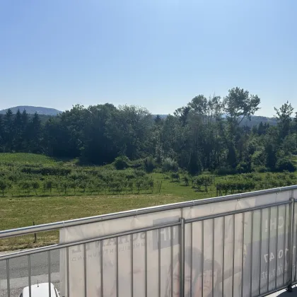 Exklusive Doppelhaushälfte in den Weinbergen - Höchste Energieeffizienz mit Erdwärmeheizung für modernes Wohnen und Genießen! - Bild 3