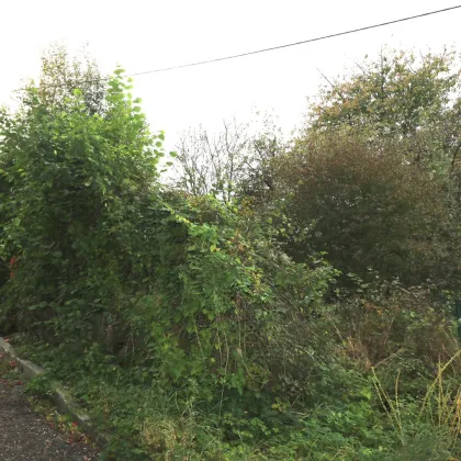 Baugrundstück in ruhiger Lage in Wolfern – kein Bauzwang, kein Bebauungsplan - Bild 2