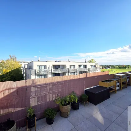 Traumhafte 4-Zimmer-Dachgeschoßwohnung mit großer 65m² Terrasse und Garagenplatz in 1220 Wien – Jetzt zugreifen! - Bild 3