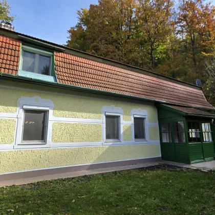 Ein/Zweifamilienhaus * teilweise renoviert * direkt am Wald gelegen * Ruhelage - Bild 2