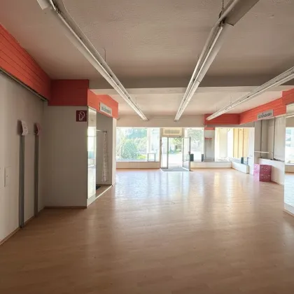 Bauträger-Anleger aufgepasst! Stadthaus in der Burgstadt Heidenreichstein (Waldviertel) mit gr. Terrasse und Blick zur Burg - Bild 3