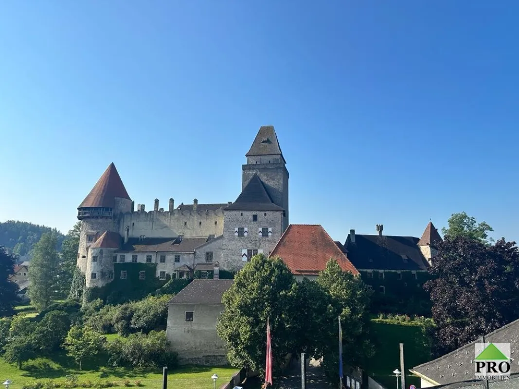 Bauträger-Anleger aufgepasst! Stadthaus in der Burgstadt Heidenreichstein (Waldviertel) mit gr. Terrasse und Blick zur Burg - Bild 1