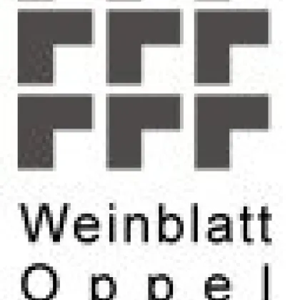 Achtung!  baubewilligtes Wohnbauprojekt in interessanter Lage ! - Bild 3