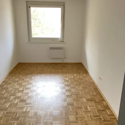 Extrem großzügige Wohnung Drauweg/Ponauer Straße - Bild 3