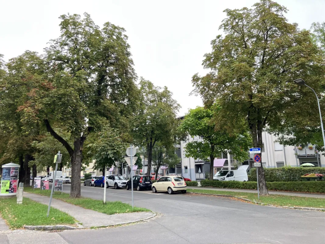 Helle Wohnung Jakob Ghon Allee 25 - Bild 1