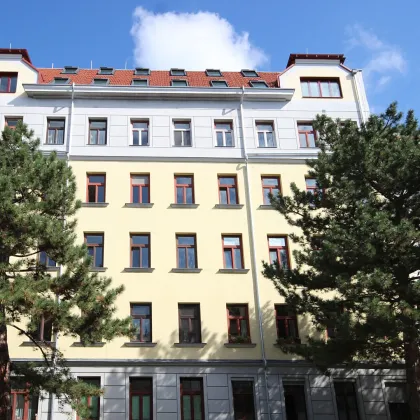 MODERN WOHNEN MIT ALTBAUFLAIR - URBAN IN GRÜNER UMGEBUNG - Bild 3