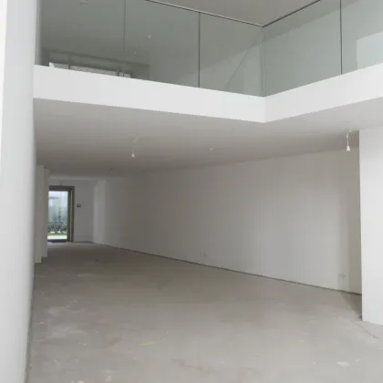 Top moderne Verkauf- & Ausstellungsfläche - Erstbezug - nahe Altstadt - Bild 3