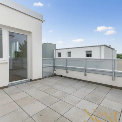 Wunderschöne 4-Zimmer-Wohnung mit sonniger Terrasse in St. Pölten zu vermieten - Miete mit Kaufoption! - Bild 2