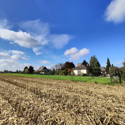 Attraktives Gewerbegrundstück südlich von Graz mit optimaler Anbindung. - Bild 2