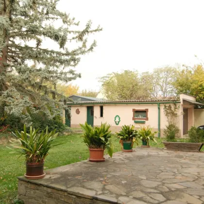 Zistersdorf: A5 - Nähe: großzügiges Wohnhaus ( 2 Wohneinheiten ) mit traumhaften Garten, Garage und Werkstatt - Bild 3