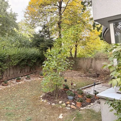 !!!GARTENWOHNUNG!!! Wohnen wie im Park!!! - Bild 2