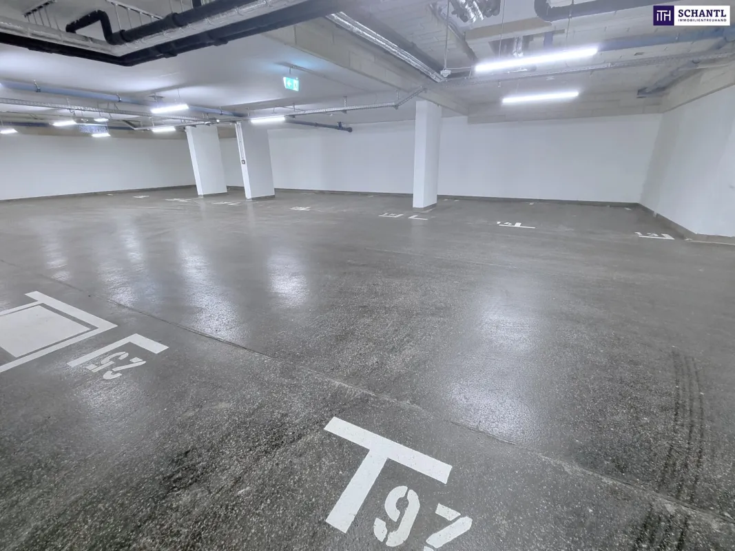 Tiefgaragenplatz in perfekter Lage in 1210 Wien! Prager Straße gleich um´s Eck! Die Parkplatzsuche hat ein Ende! Schnell sein! - Bild 1