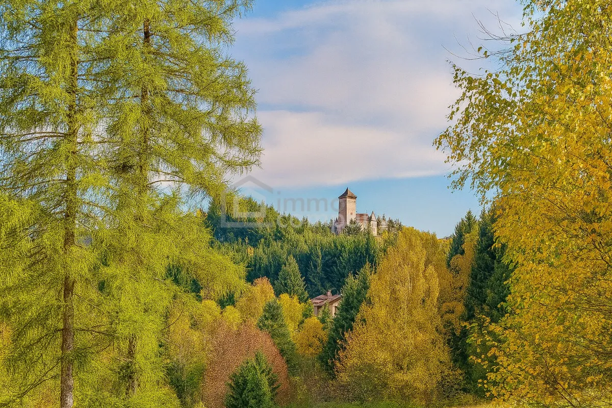 Zwischen Burgblick und Waldesruh – ein Zuhause mit Geschichte - Bild 1