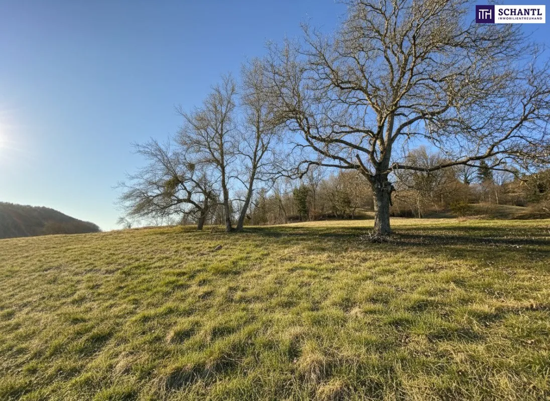 7 Parzellen verfügbar - Tolles Baugrundstück am Sonnenhang in Prenning bei Deutschfeistritz – 3.700 m², aufteilbar in 7 Parzellen - Bild 1