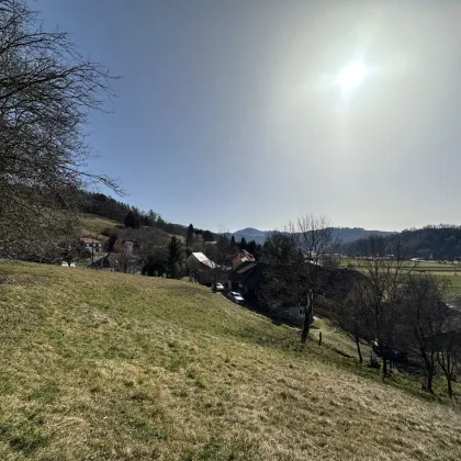 7 Parzellen verfügbar - Tolles Baugrundstück am Sonnenhang in Prenning bei Deutschfeistritz – 3.700 m², aufteilbar in 7 Parzellen - Bild 2