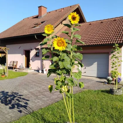 Ihr neues Zuhause in Gralla – Leicht sanierungsbedürftiges Einfamilienhaus mit viel Platz, Ruhe und Möglichkeiten - Bild 3