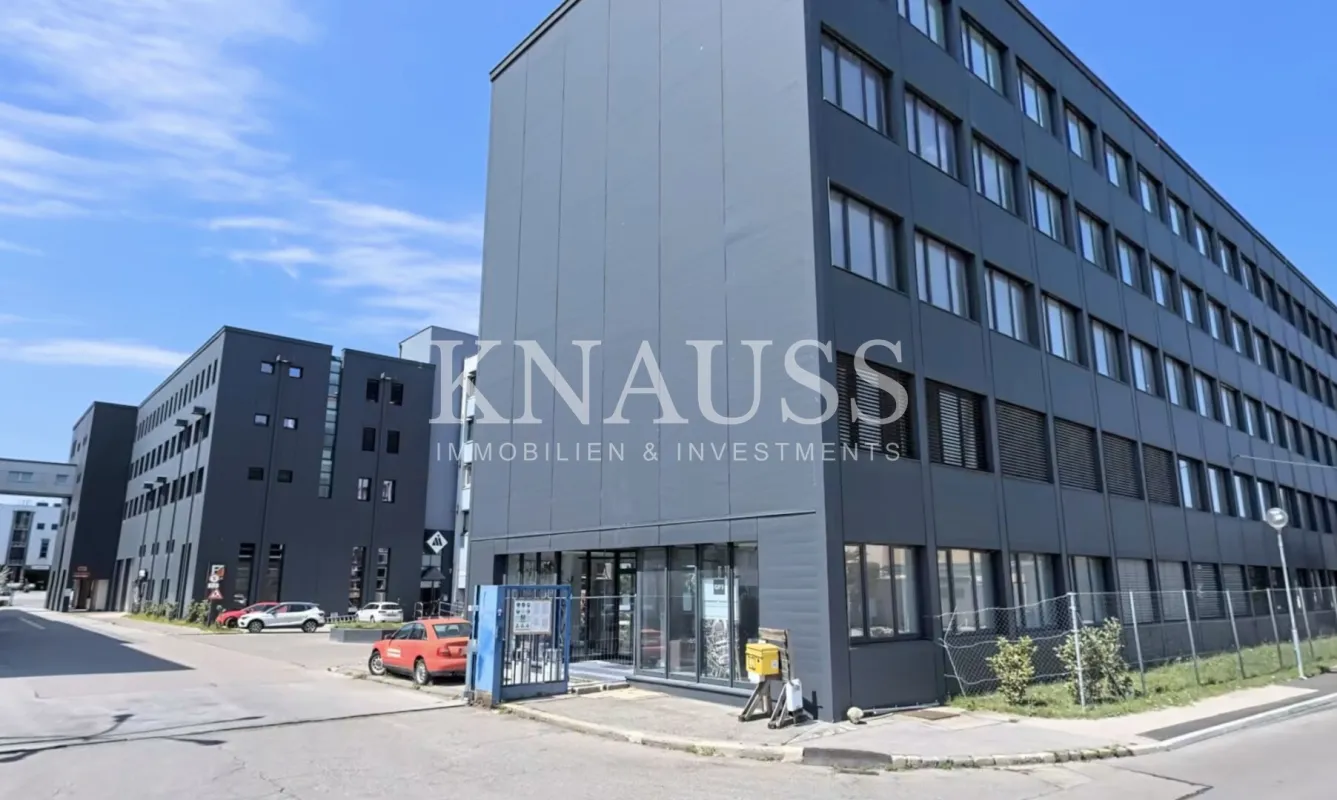 Lagerhallen & Produktionsflächen | anmietbar ab 600 m² | direkt bei der A2 Traiskirchen - Bild 1