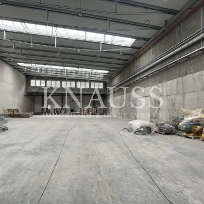 Lagerhallen & Produktionsflächen | anmietbar ab 600 m² | direkt bei der A2 Traiskirchen - Bild 3