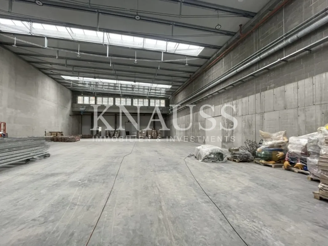 Lagerhallen & Produktionsflächen | anmietbar ab 1200 m² | direkt bei der A2 Traiskirchen - Bild 1