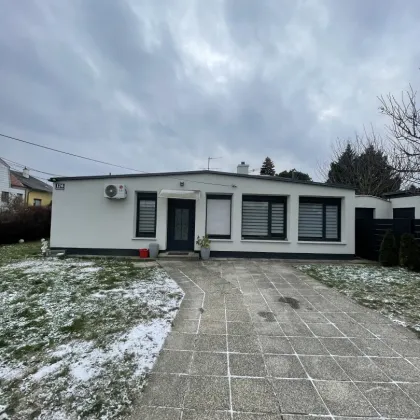 1220. Wohnen wie im Urlaub Haus mit 3 Zimmer und 300m2 Garten - Bild 2